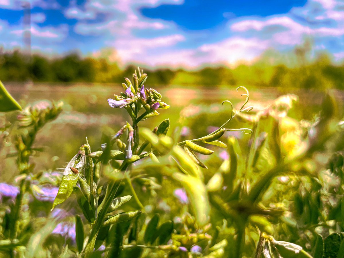 “‘Call to me and I will answer you and tell you great and unsearchable things you do not know.’”
Jeremiah 33:3 NIV