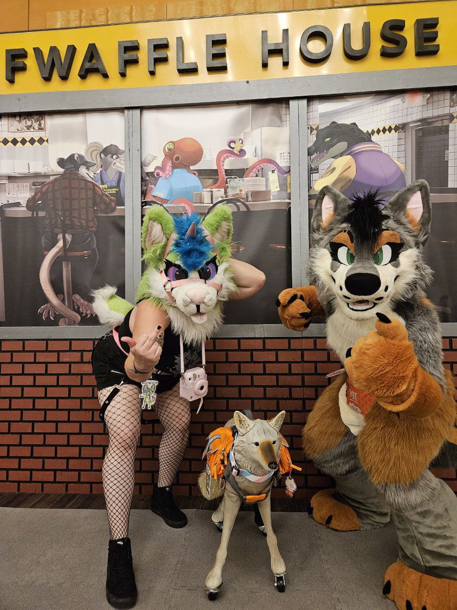 QuinnCoyote117's tweet photo. POV: You shouldn't have asked if they wanted to take this outside.

#FursuitsFriday

📸 - @SpittyDragon https://t.co/edWL3EX31B