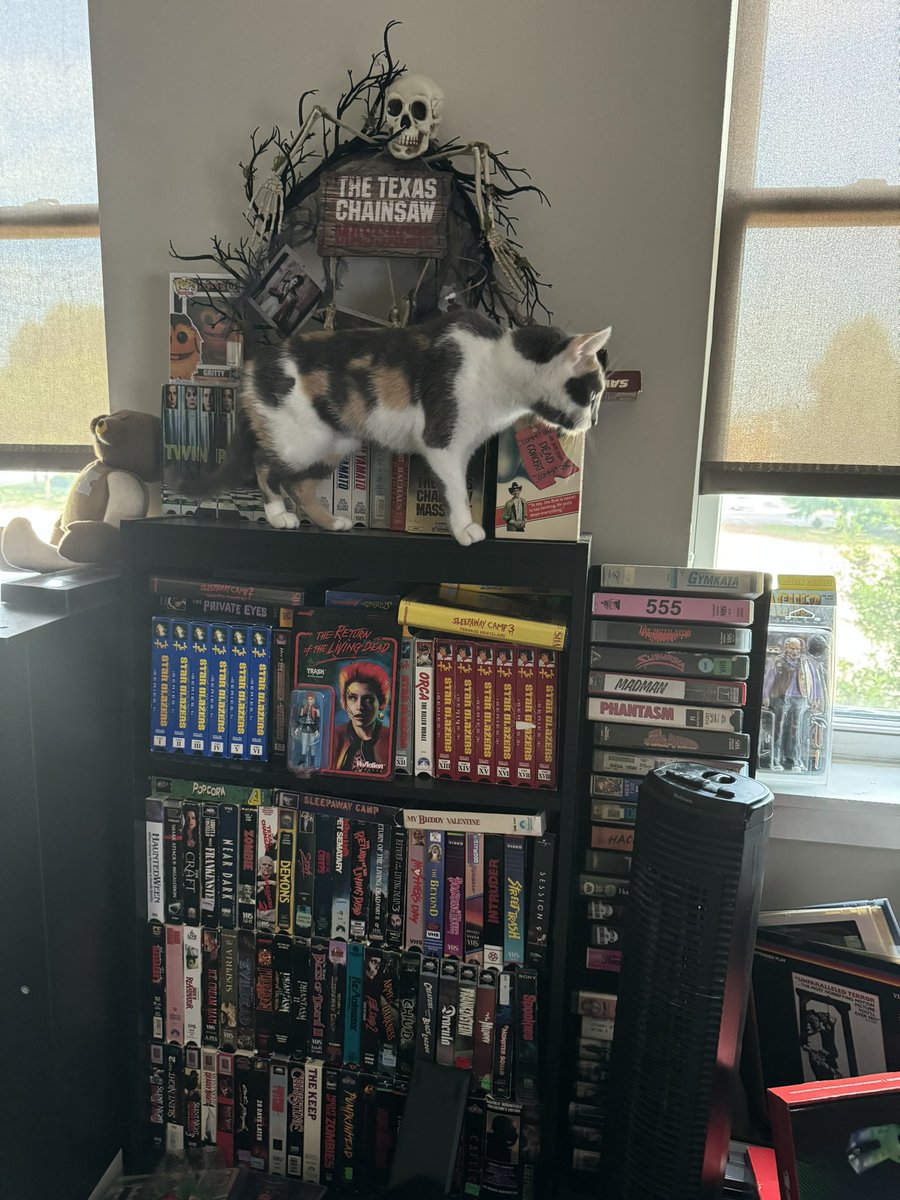 tomokato's tweet photo. Kira, is super excited for her first #thelastdrivein can you spot @therealjoebob hiding in this pic 😹 #mutantfam @kinky_horror https://t.co/hTZv0QIQ04