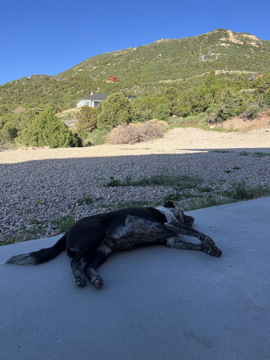 Paul Huddle tweet media