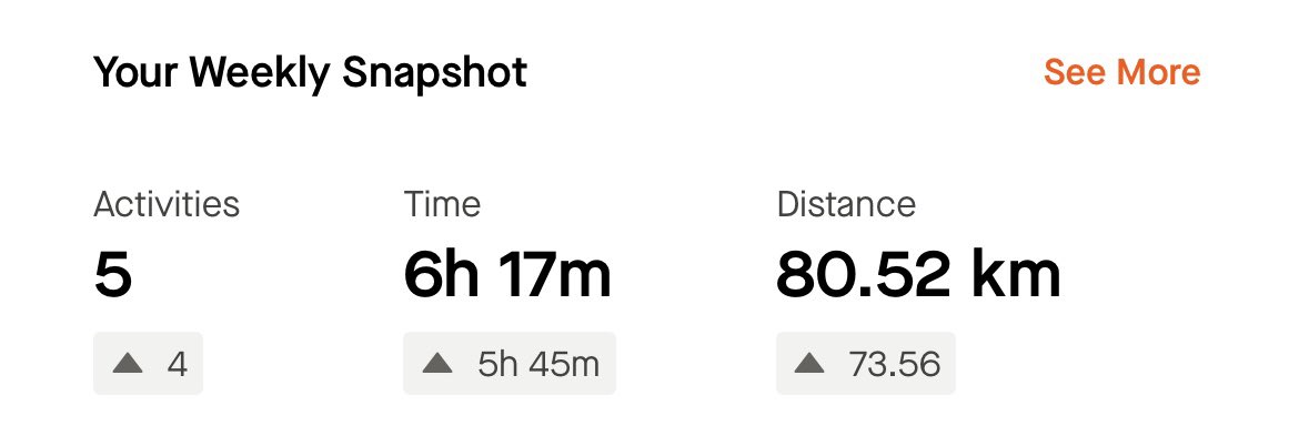 CodyShorter tweet media