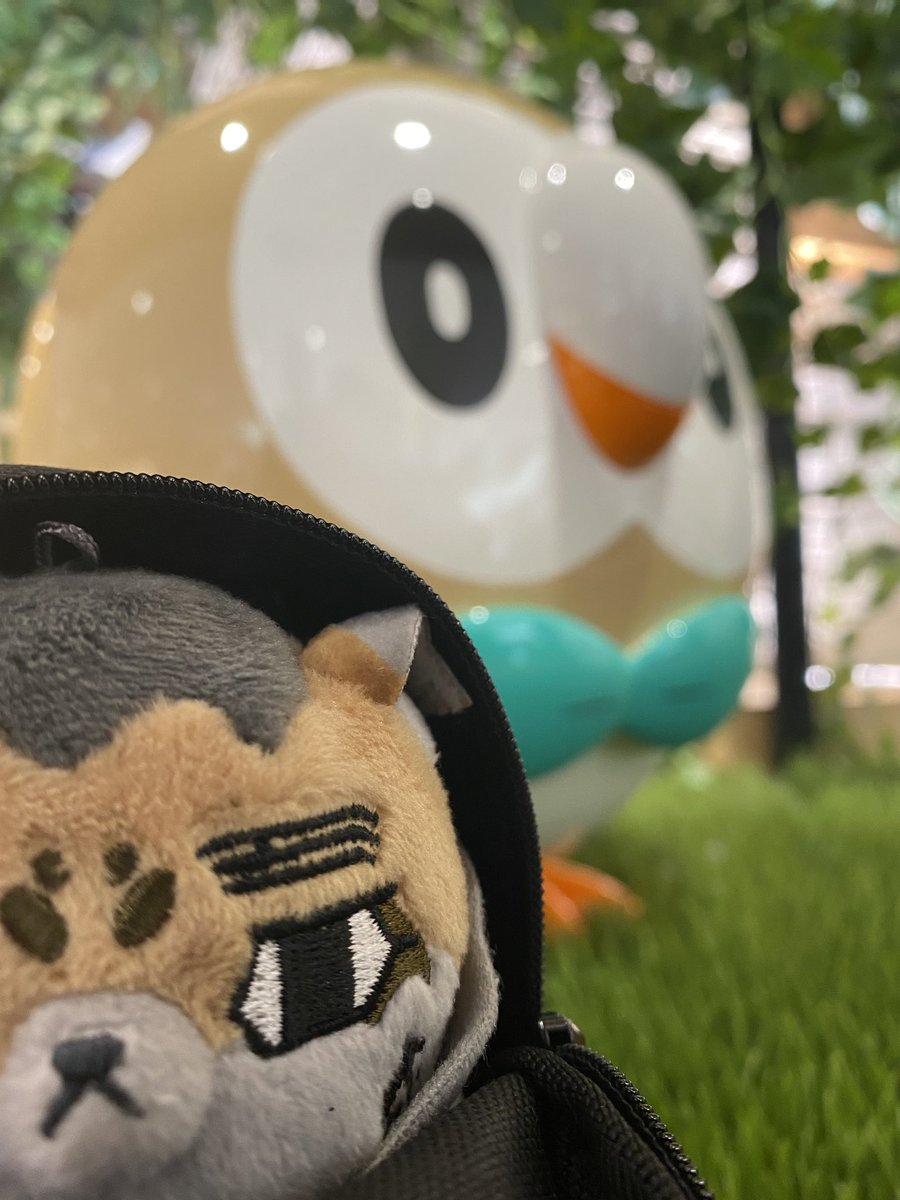 mtmt_fo1's tweet photo. おでかけ。尾(弟)

 #フォゼ尾といっしょ
 #金カムぬい撮り部 https://t.co/nSJia087av
