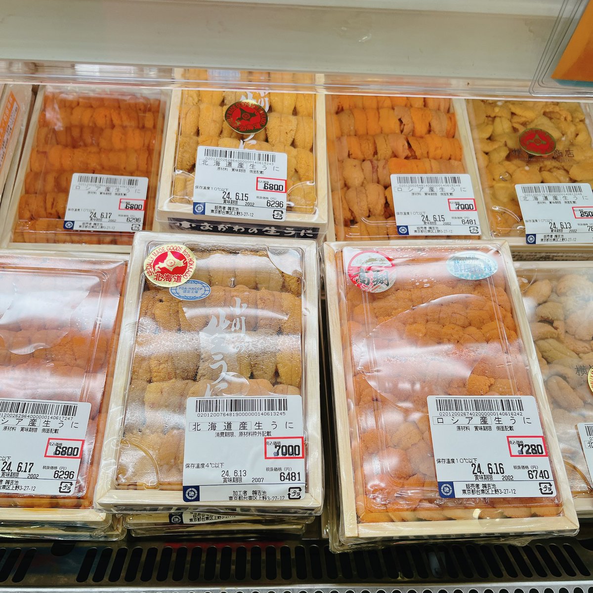 Post by 吉池 on X: うに🌟ウニ❣️