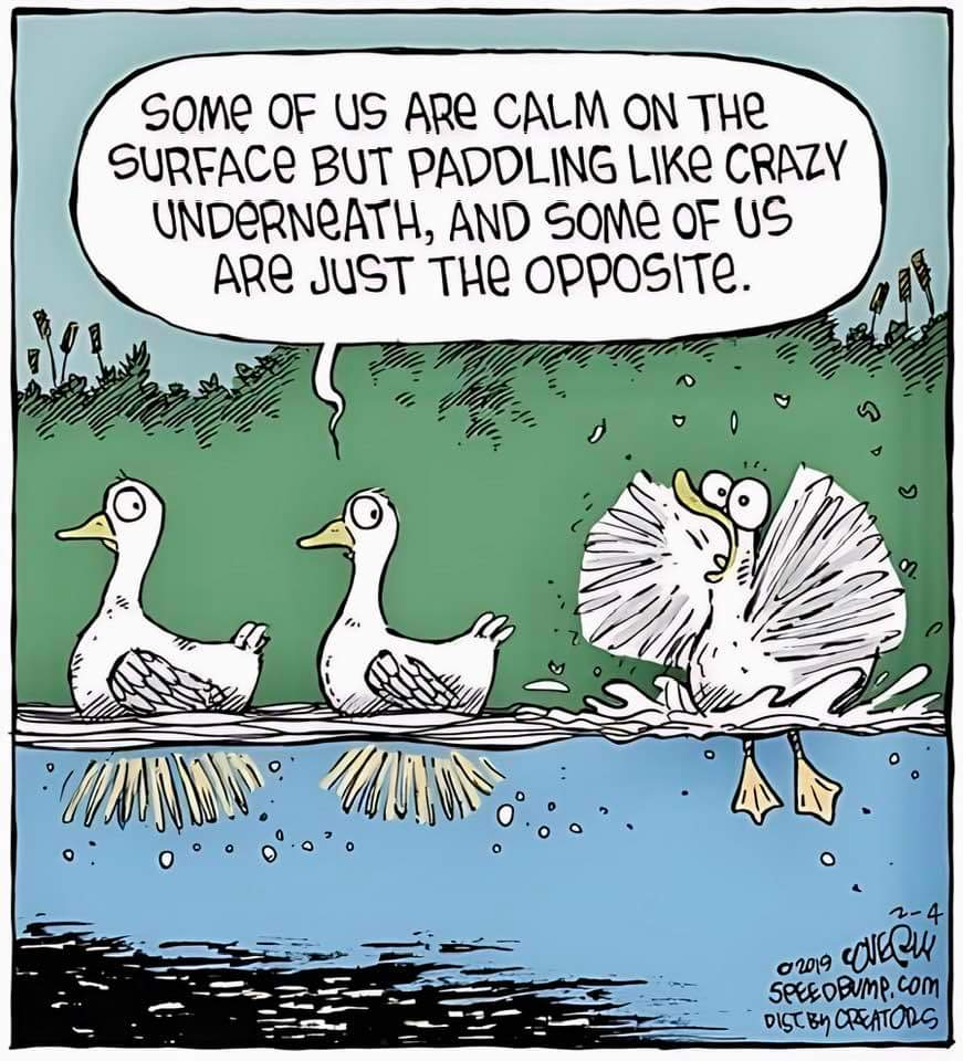 Red Herring Games tweet media