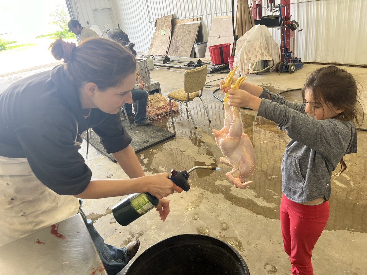 Kyla McLean tweet media