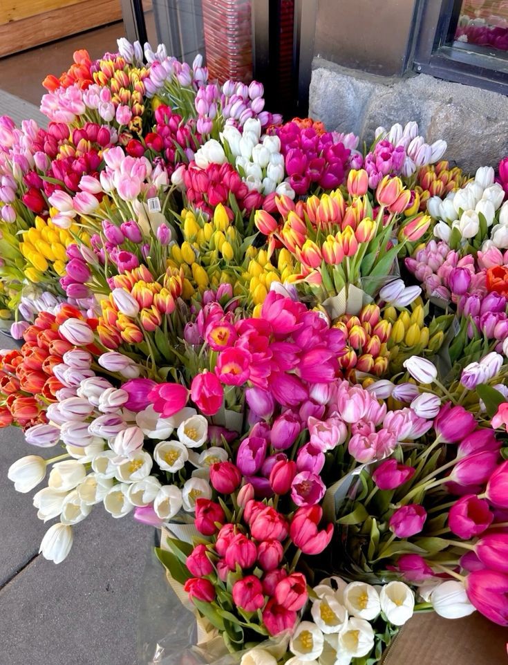 Flowers_7_'s tweet photo. https://t.co/qxvEobjyn8