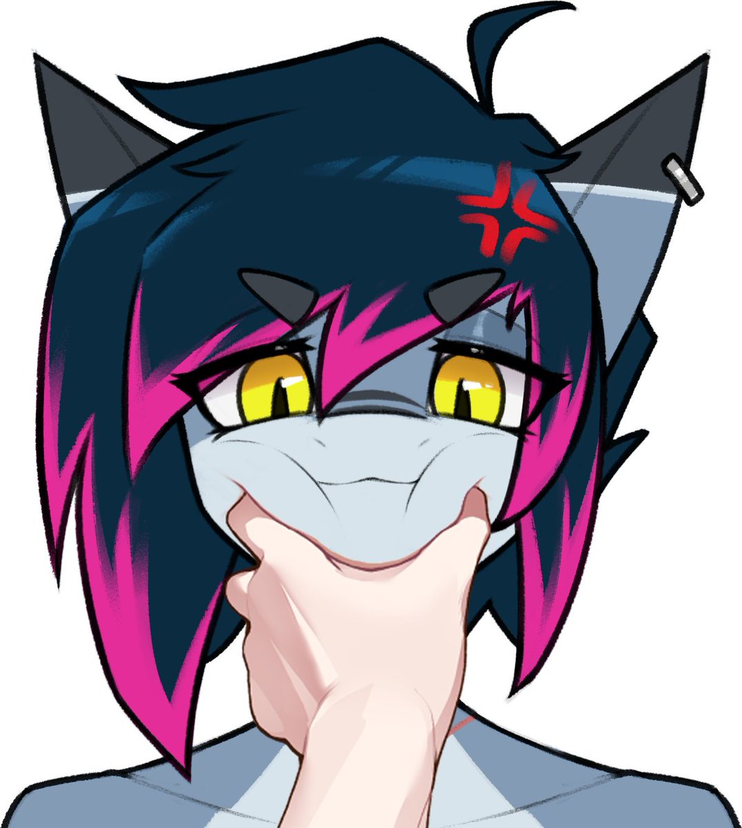 SharkCatSG (Comms Closed) tweet media