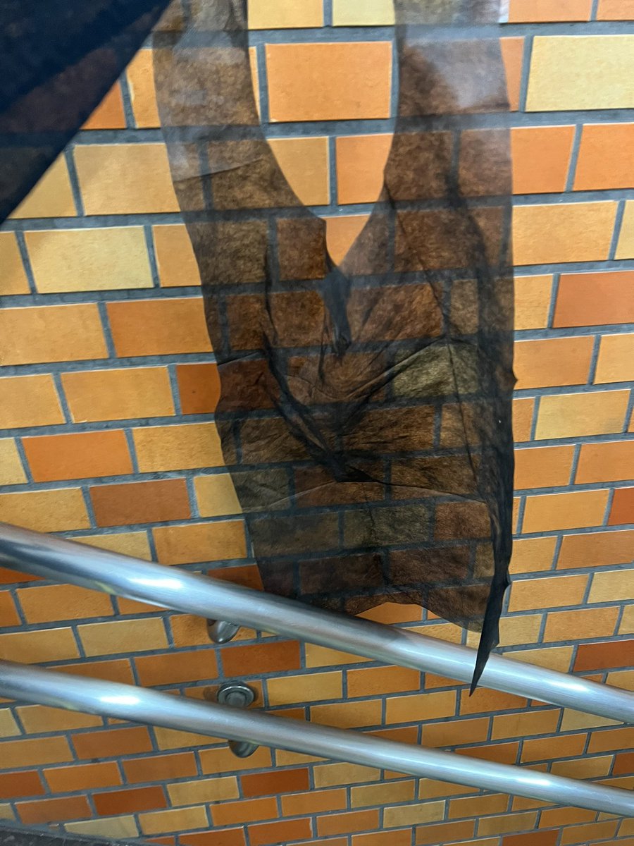 すごいの食べちゃったし、
エプロンしたままお店出てきてたよ
私服に馴染んでた^^ https://t.co/1yEXltOyDB