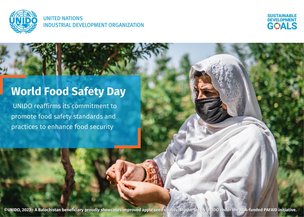 UNIDO_Pakistan's tweet photo. Be #FoodSafetyReady on #WorldFoodSafetyDay2024 !
@UNIDO 🇵🇰's @jica_direct_en funded #PAFAID project is vital in improving the apple & cattle meat value-chains for enhanced food security in 🇵🇰
@NadiaAftabS @UNinPak #FoodSafety #PAFAID https://t.co/MKB8yBvbNv