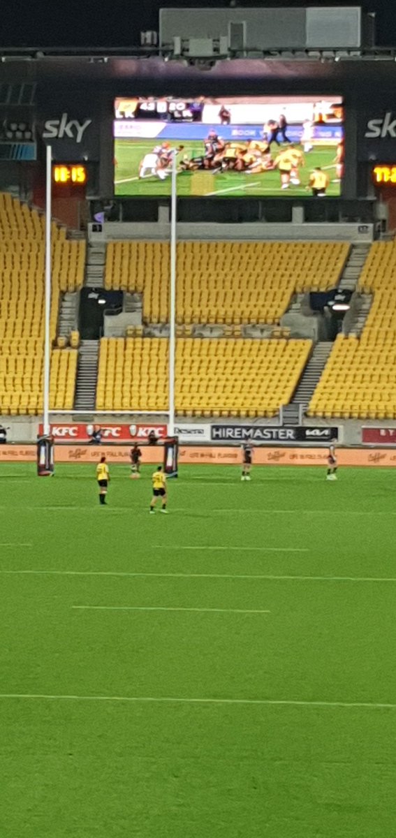 Susan Sly tweet media