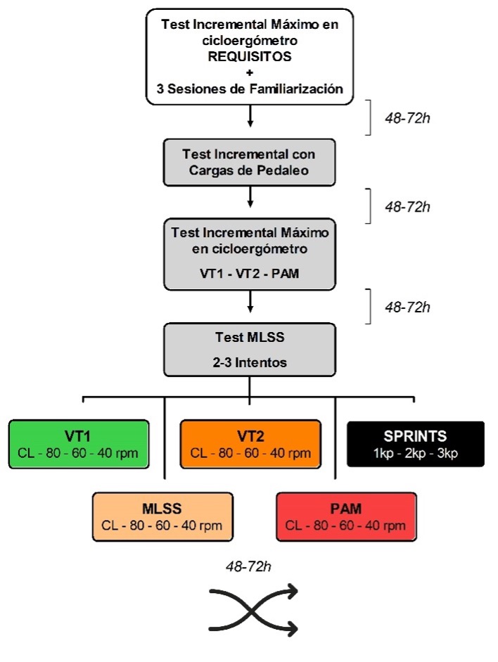 Human Performance & Sports Science tweet media