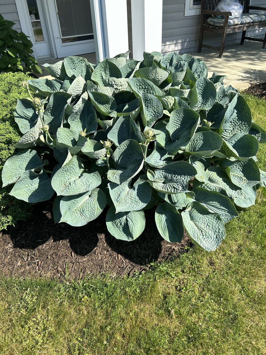 stuartkirsch's tweet image. May the wonders of Shabbat bring us each closer to peace and wholeness. Let us build our broken world from love. #ShabbatShalom