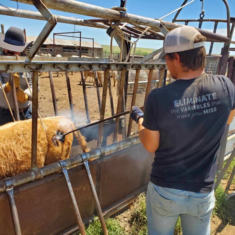 FredEichler's tweet photo. Branding with the boys, Grandpa and buddy Colton.

#fulldrawoutfitters #everythingeichler #fredeichler #cattle #workingcattle #ranch #ranchlife #ranching #branding #brand #workhard #workingfamily https://t.co/d8SMJbSx44