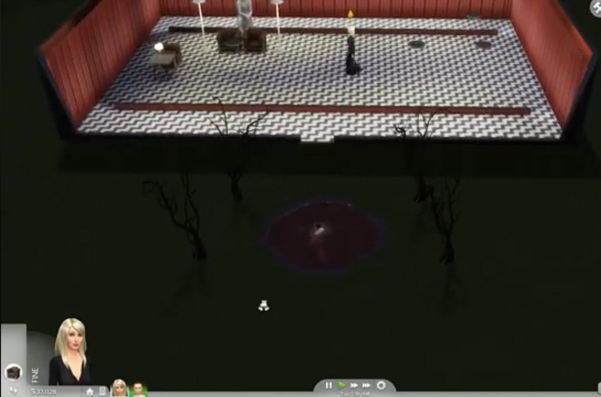 laurinha 🦠 tweet media