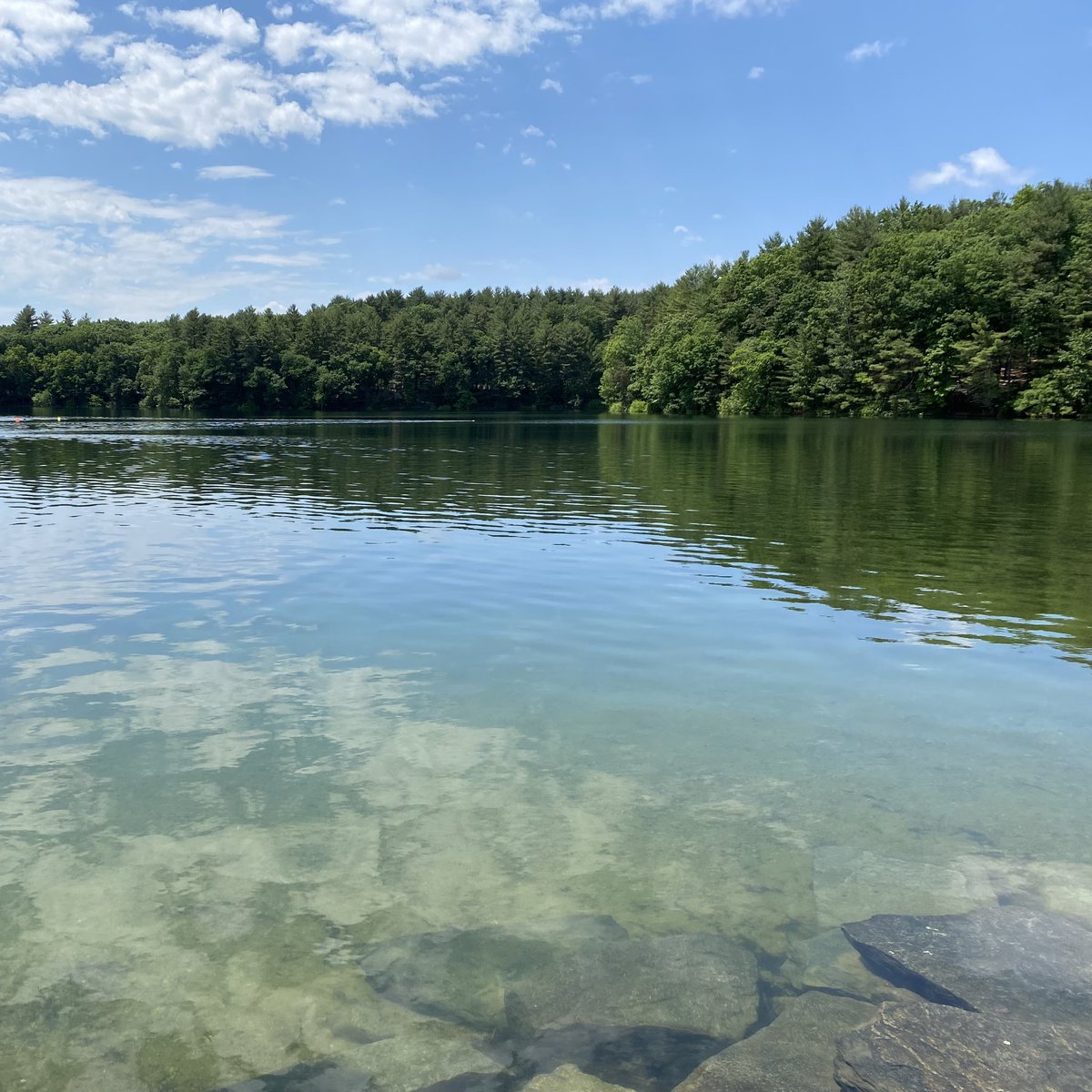 Dr. Laura Smith tweet media