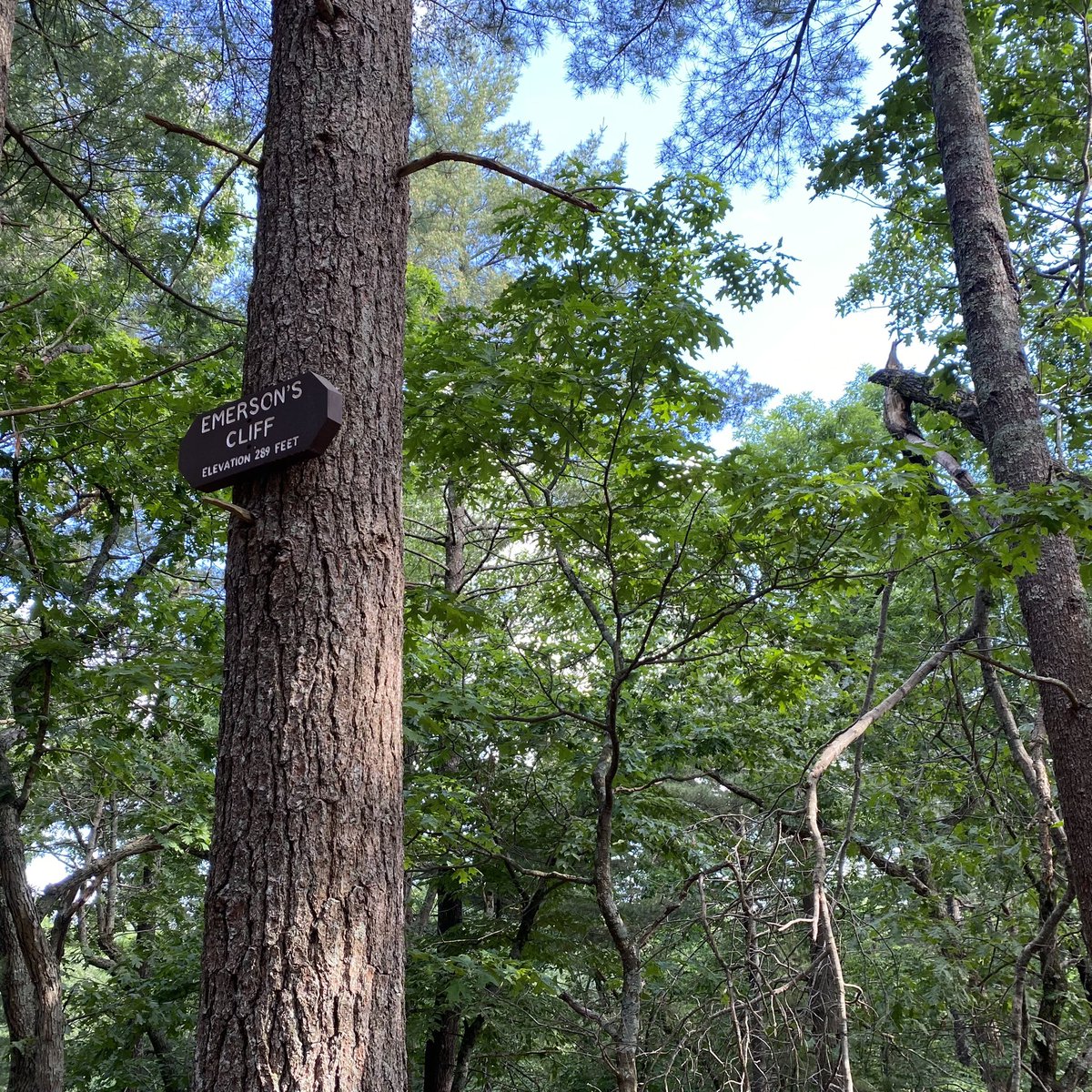 Dr. Laura Smith tweet media