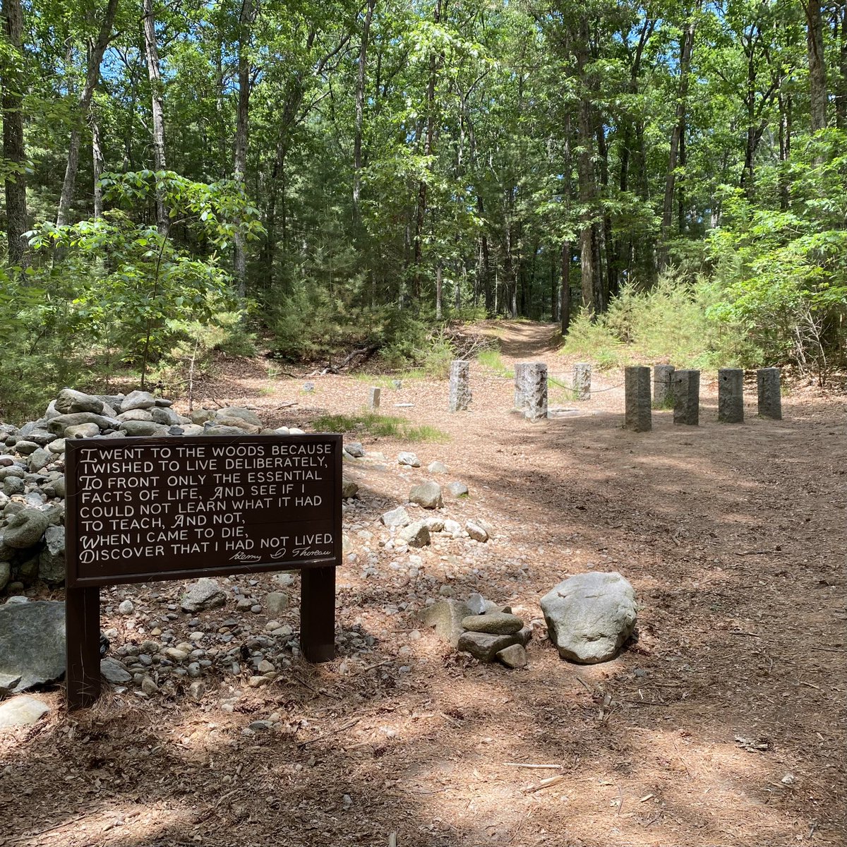 Dr. Laura Smith tweet media