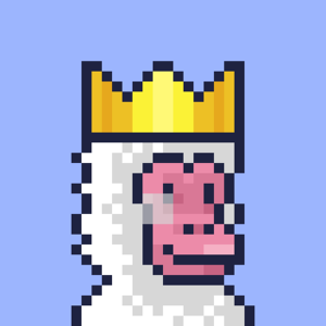 Soltopia🌴 tweet media