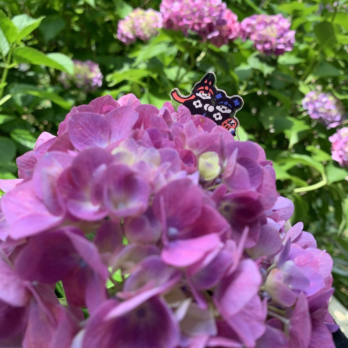 MeLay 米雷 tweet media