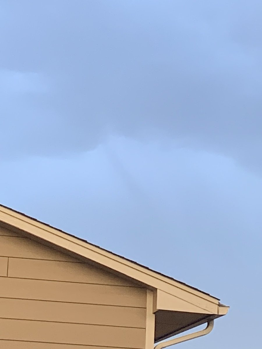 CrystalAnd22350's tweet image. Out towards east Brighton #Cowx