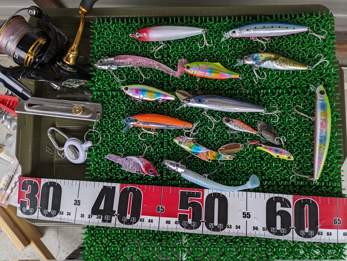 釣り終わり。シーバス一匹だけ釣れたー