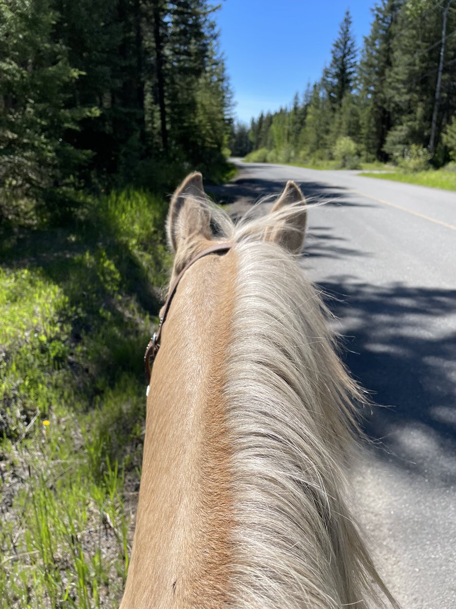 Catherine Cook tweet media