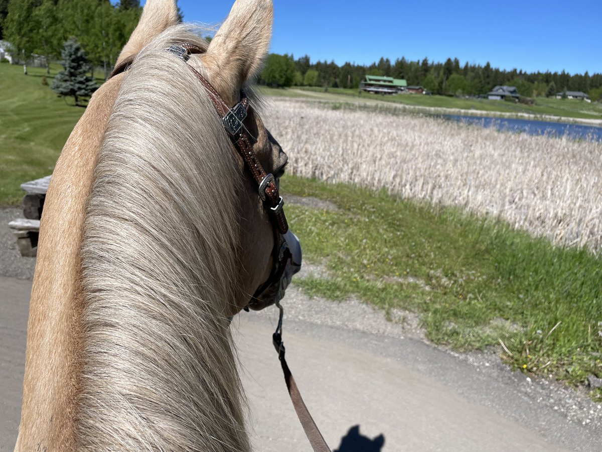 Catherine Cook tweet media