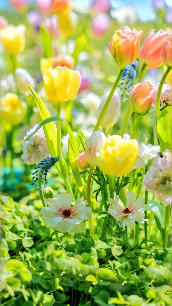 Aziz Can Dostlar
Salât ve selamlarla
Hayırlı huzurlu cennet kokulu sabahlar ve sevdiklerinizle beraber güzel bir hafta sonu geçirmenizi dilerim.