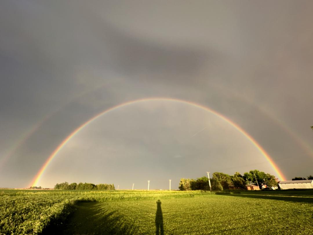 Flat Bill Farmer tweet media