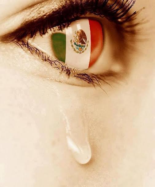 Gualujima #🇮🇱🇺🇸🇲🇽 tweet media