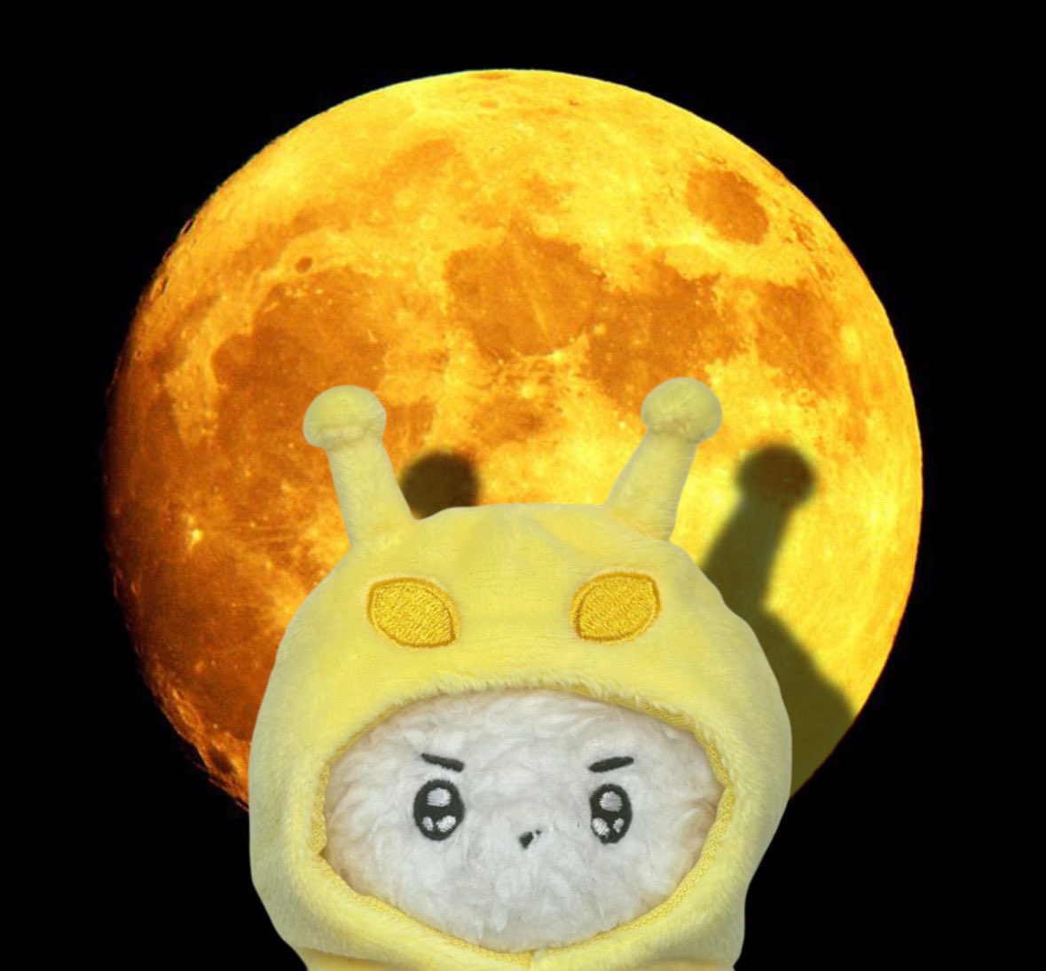 외계모자 (재고판매 중) tweet media
