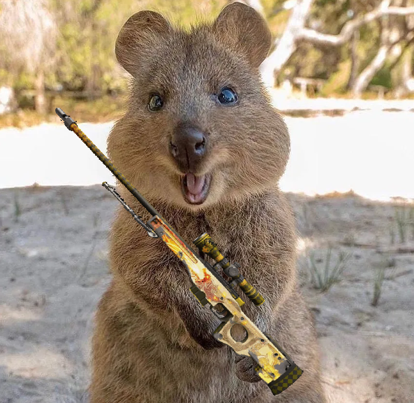 Jiggah - Buying CS Skins tweet media