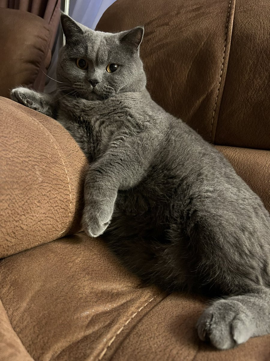 benscomsica1973 tweet media