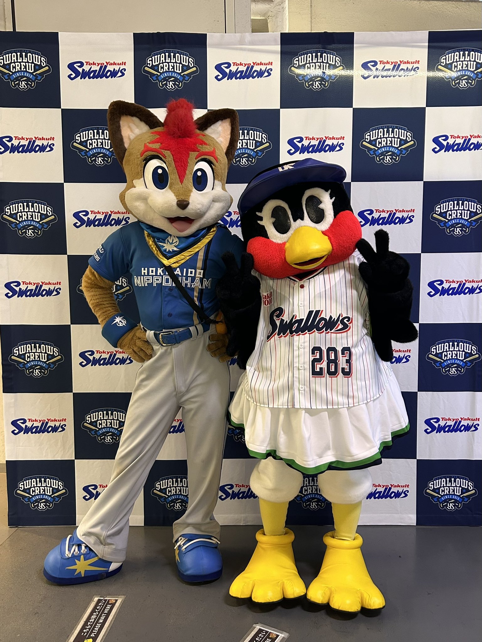 東京ヤクルトスワローズ公式 on X: 