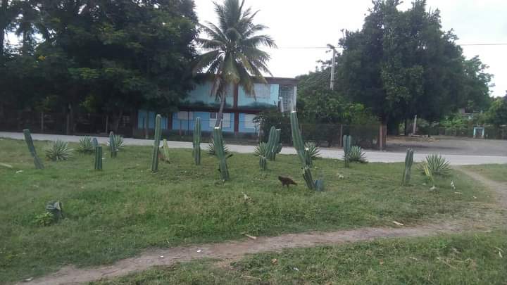 Cuando conviertes un basurero, en un área verde que vuelve a brillar, se embellece el entorno, lo convierte en un espacio más agradable y saludable para el barrio.  #LaPremisaEsHacer #MunicipioPilón #ProvinciaGranma #Cuba
