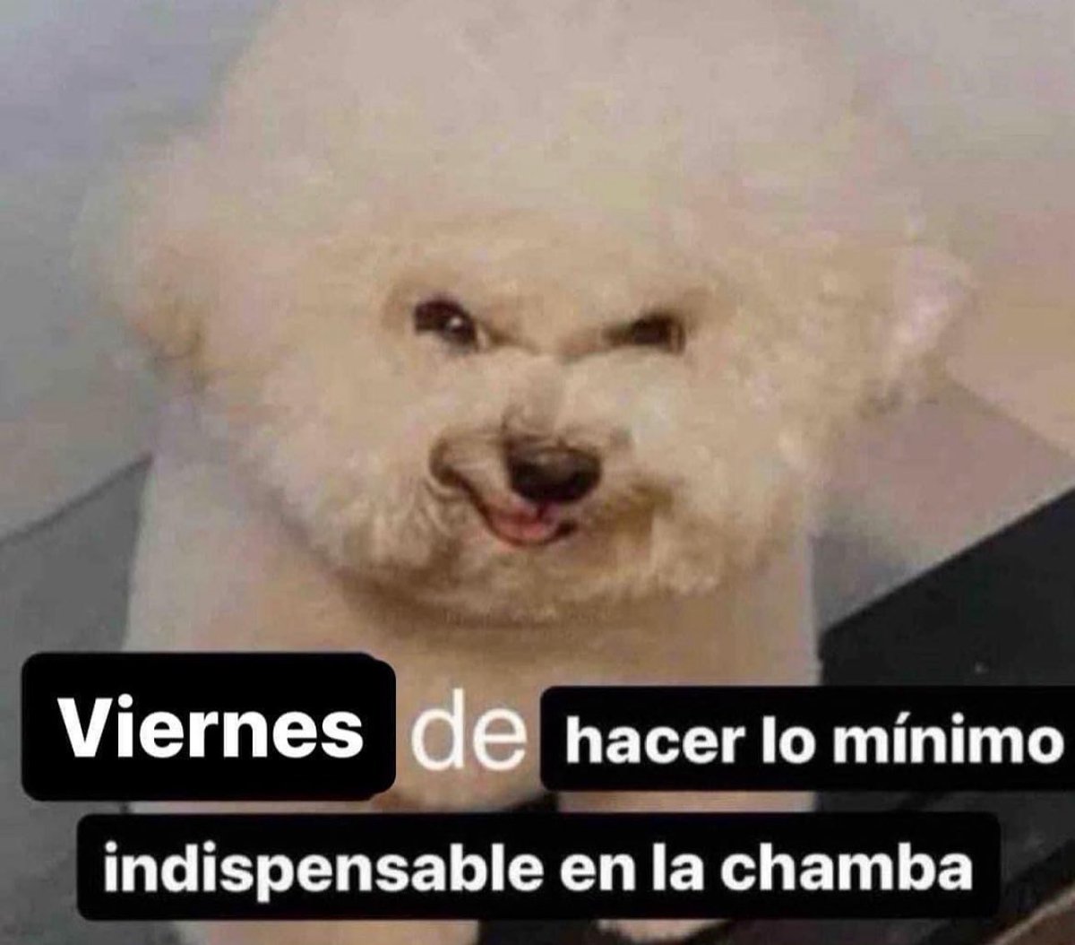 Literalmente yo hoy que me dediqué solo a resolver sudokus y ya a mimir. Qué buen día (no hice ni mierda en el lab)