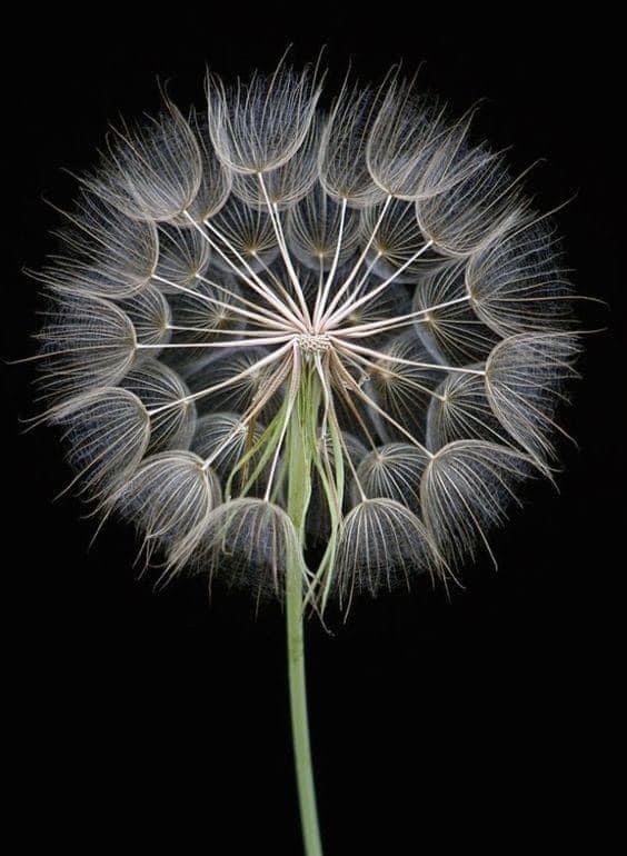 Franz Schwab (@zwaptwit) on Twitter photo 