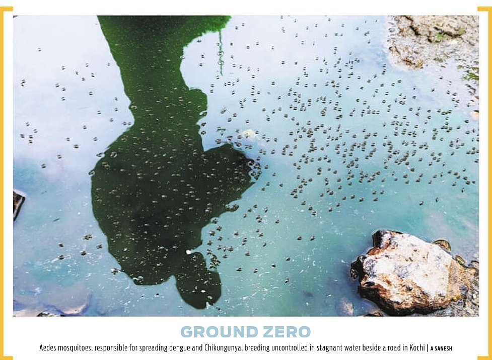 sanesh_TNIE's tweet image. GROUND ZERO
@NewIndianXpress @xpresskerala @shibasahu2012 @sooraj_TNIE @pendown @citharapaul @MSKiranPrakash
#Mosquito #life #ReflectionAI