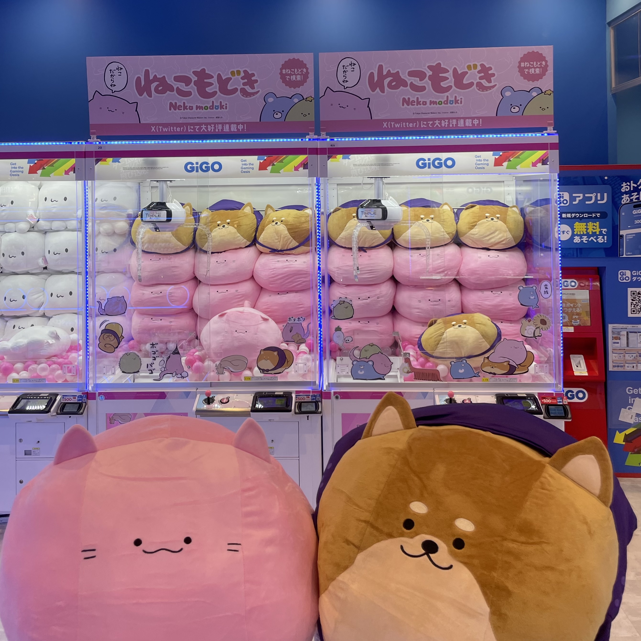 GiGO総本店 on X: 