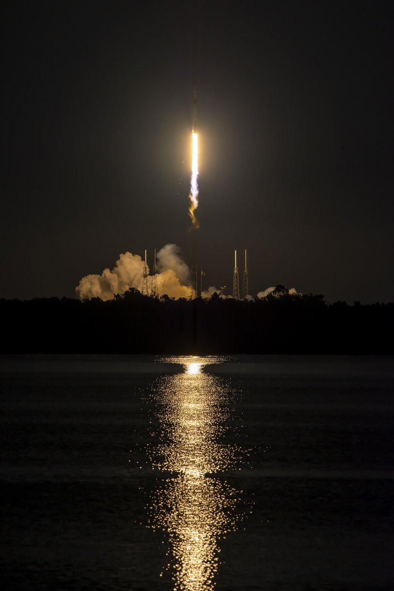 SpaceX tweet media