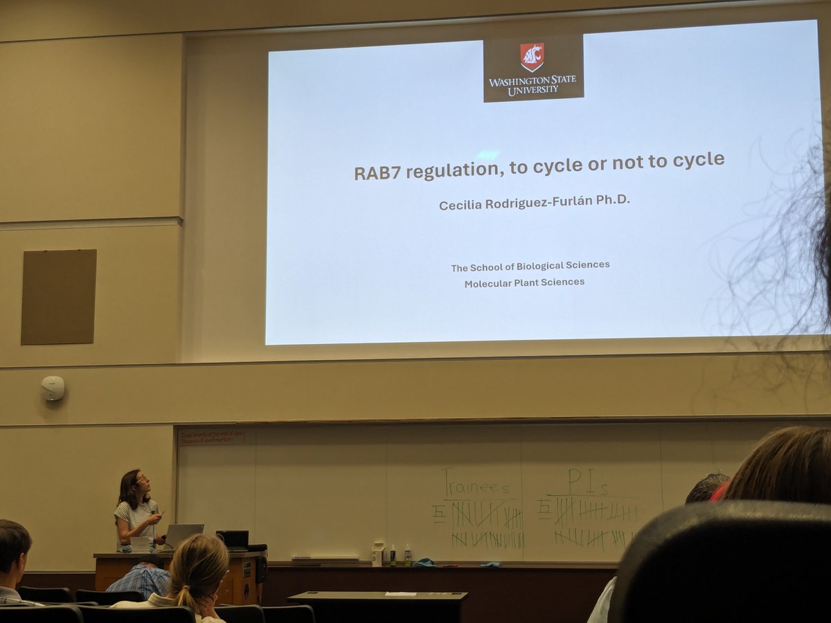 Cecilia Rodriguez-Furlan tweet media