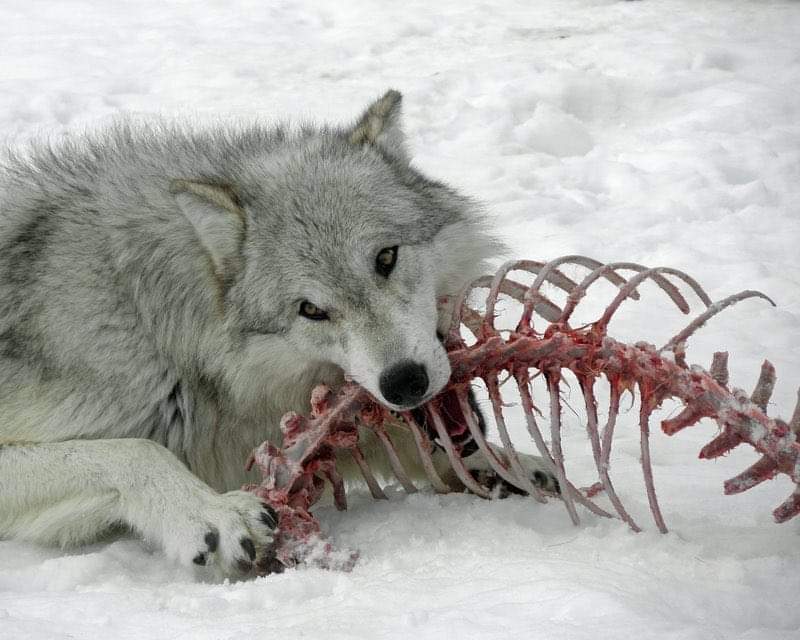 ☆sabrina☆ tweet media