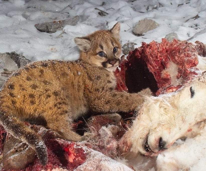 ☆sabrina☆ tweet media