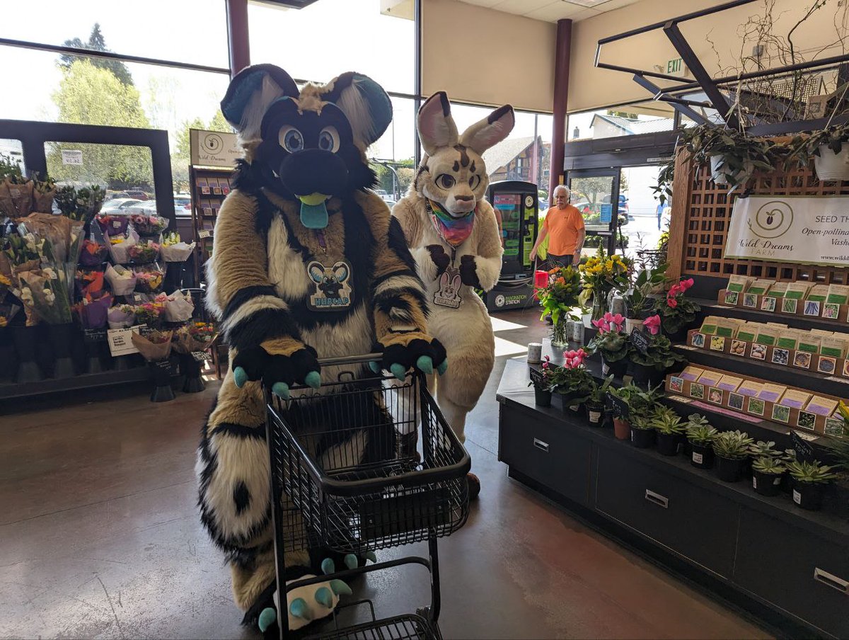 "I'm going shoppin'
While I'm a hoppin' 
For all those taaaaasty treeeeeeeats!"

That was a fun filled day with <a href="/FuzzyHubcap/">Hubcap</a> and <a href="/FuzzyOrangeFoxy/">Bolt</a>! Before you ask yes... we bought stuff. Worth it!

📸 by: <a href="/ArtySilvers/">Arty Silvers</a> 

Happy #FursuitFriday!