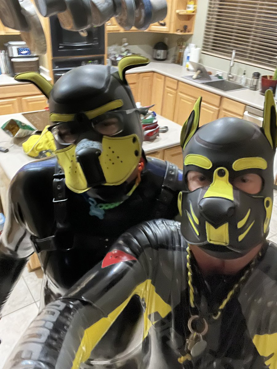 8eekeeper's tweet photo. Missing my pup while he has to work out of state https://t.co/bLvpUKzZ2Y