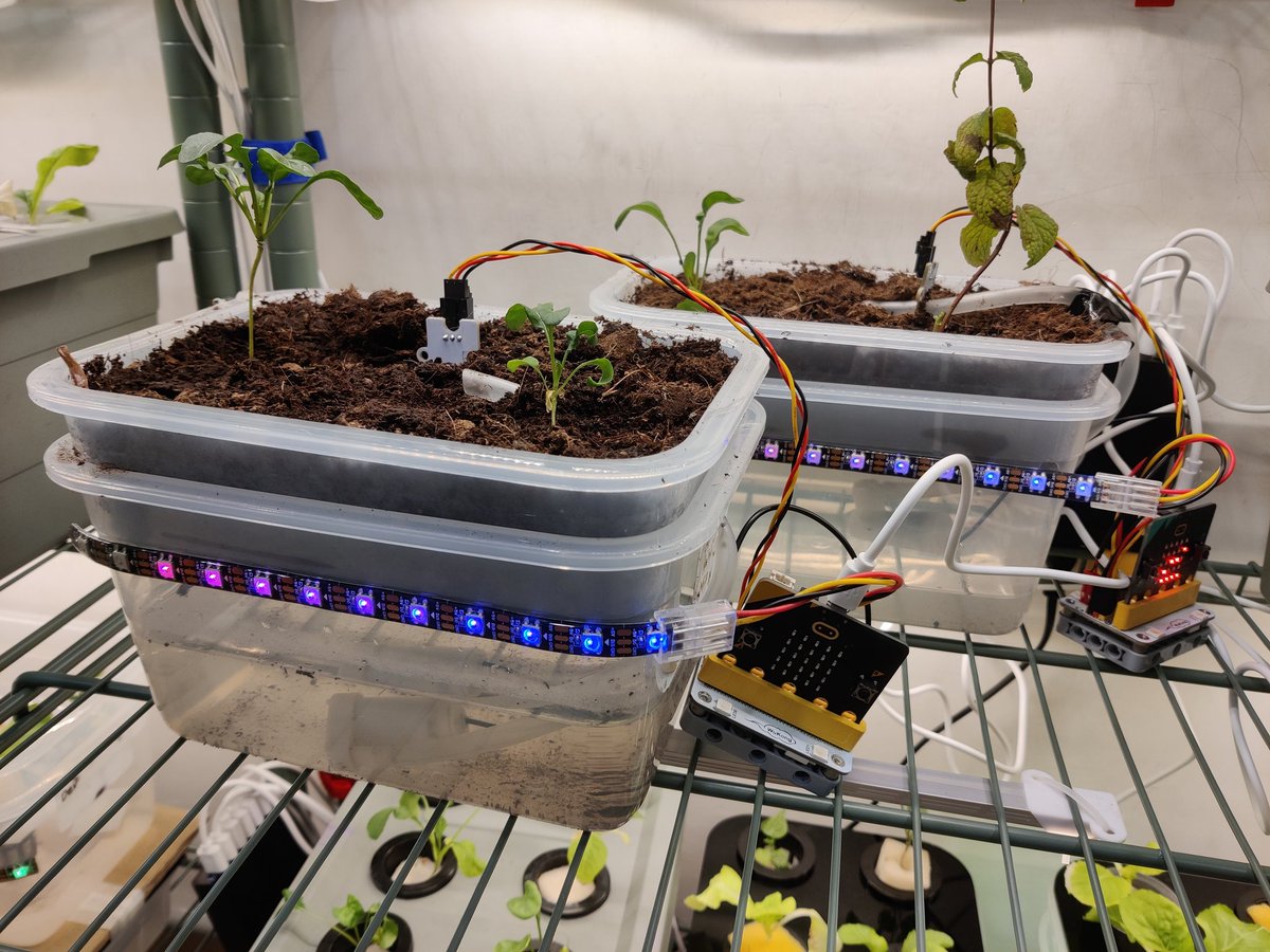 Mr. Liam M tweet media