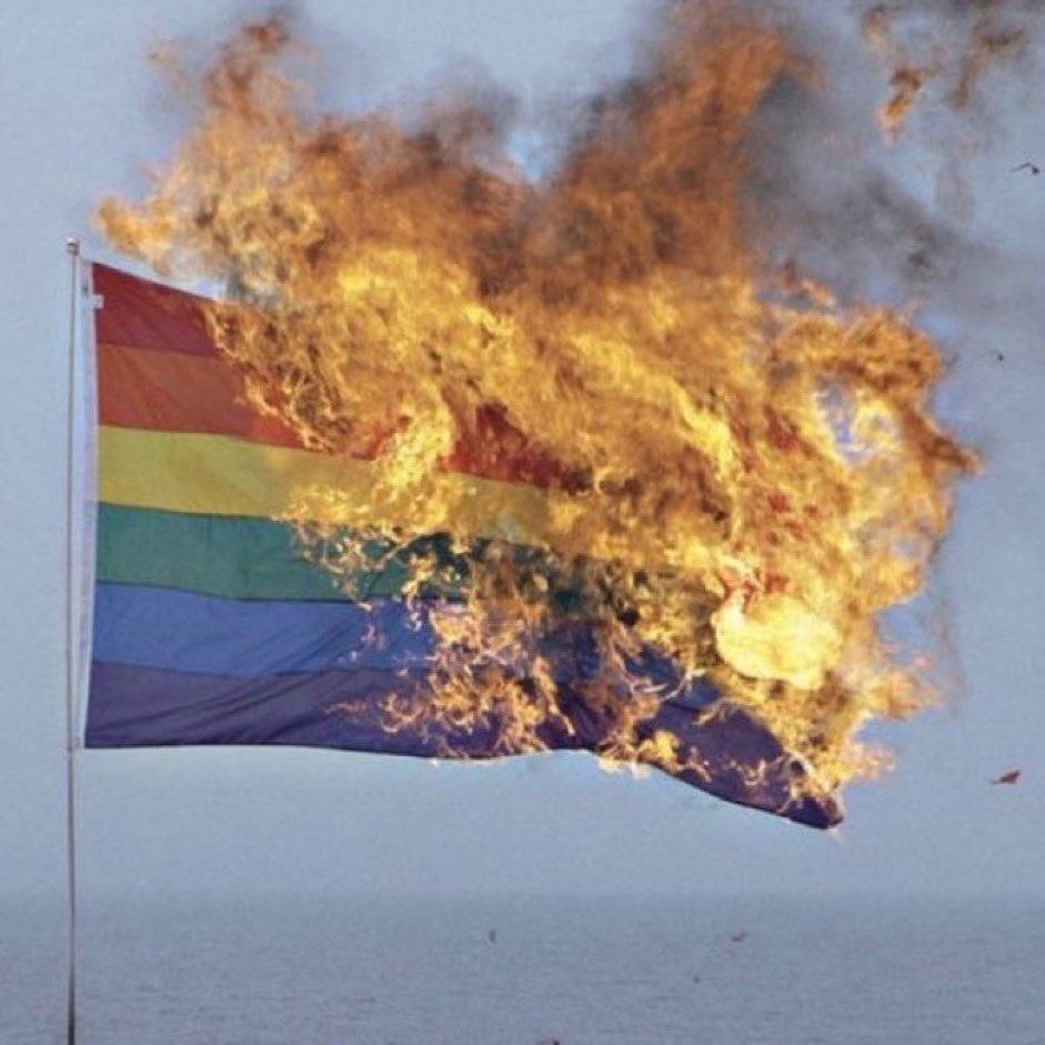 𝙳𝙰𝙽𝙴 𝚂𝙽𝚈𝙳𝙴𝚁 tweet media