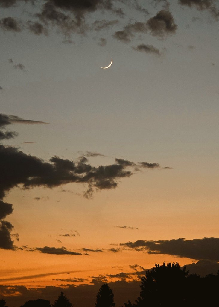 mvinge's tweet image. Robert Plant &amp;amp; Alison Krauss singing Led Zeppelin tunes below a crescent moon at sunset on the Minnesota prairie. Yea dude. It was awesome.🌙🔮✨️🌄