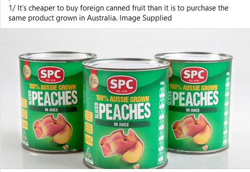 OcarinaJones's tweet photo. Labor's hatred of fruit farmers opens a can  of worms
Vikki Campion Herald Sun June 7, 2024
 
There should be no reason Australian peaches and pears on local shelves are dearer than the imported alternative in the can next to them – but our brilliance has created the perfect recipe for food insecurity.

This week, SPC told growers to mulch nearly half their peach crop and almost two-thirds of their pears because Woollies want fruit for half as much from countries paying slave-labour rates, running on cheap power, with none of the environmental restrictions we burden small family farms with.

Australian-grown and canned SPC peaches cost $5.30 at Woolies yesterday, while the same size can of South African peaches wearing the Woolworths home label cost $2.80. What is it about that 10,000km journey across the Indian Ocean that is cheaper than picking them from a tree in the Goulburn Valley and canning them right here?

As pear growers rip out trees, the cheapest canned pears on the shelf are grown in Argentina, a country suffering a 57 per cent poverty rate, flown to Thailand, a country primarily run on cheap gas and coal, shipped to Australia, trucked to our markets and – after all this travel – is still vastly cheaper than canning our own fruit.

This is the perverse result of a federal Government taking water from irrigators, forcing manufacturers to use expensive part-time power plants (wind and solar), and smothering family farms with red and green tape.

Add to this a major supermarket being distracted as a cheerleader for the Voice instead of delivering affordable groceries, who blames mum at the checkout for prioritising keeping her kids fed over supporting Australian farms.

If the recipe they are cooking up is to destroy our food security, it seems that Labor has the method and measurements just right.

1/ It’s cheaper to buy foreign canned fruit than it is to purchase the same product grown in Australia. Image Supplied