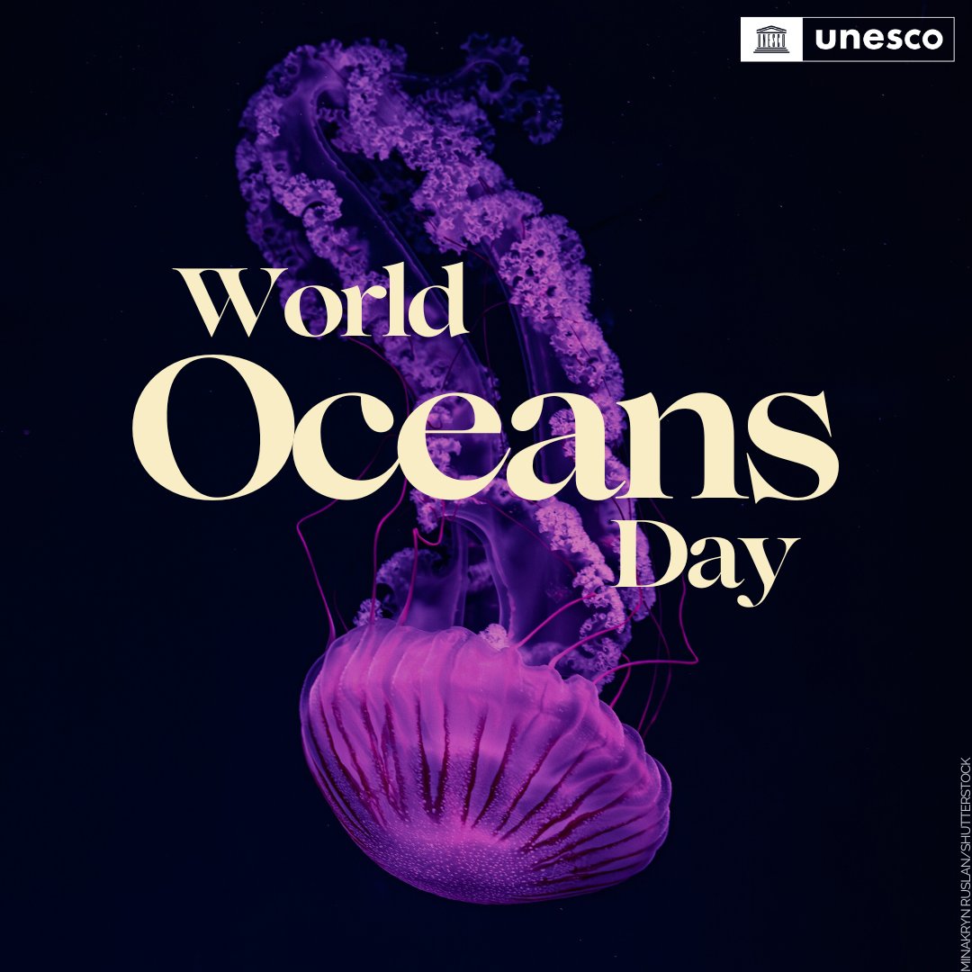 UNESCO's tweet photo. Today is #WorldOceansDay!

The Ocean connects, sustains and supports life. It is on us to take full responsibility and do the necessary to #SaveOurOcean!

Here's how: https://t.co/6uNr2eyPNt https://t.co/38YH6zzrFP